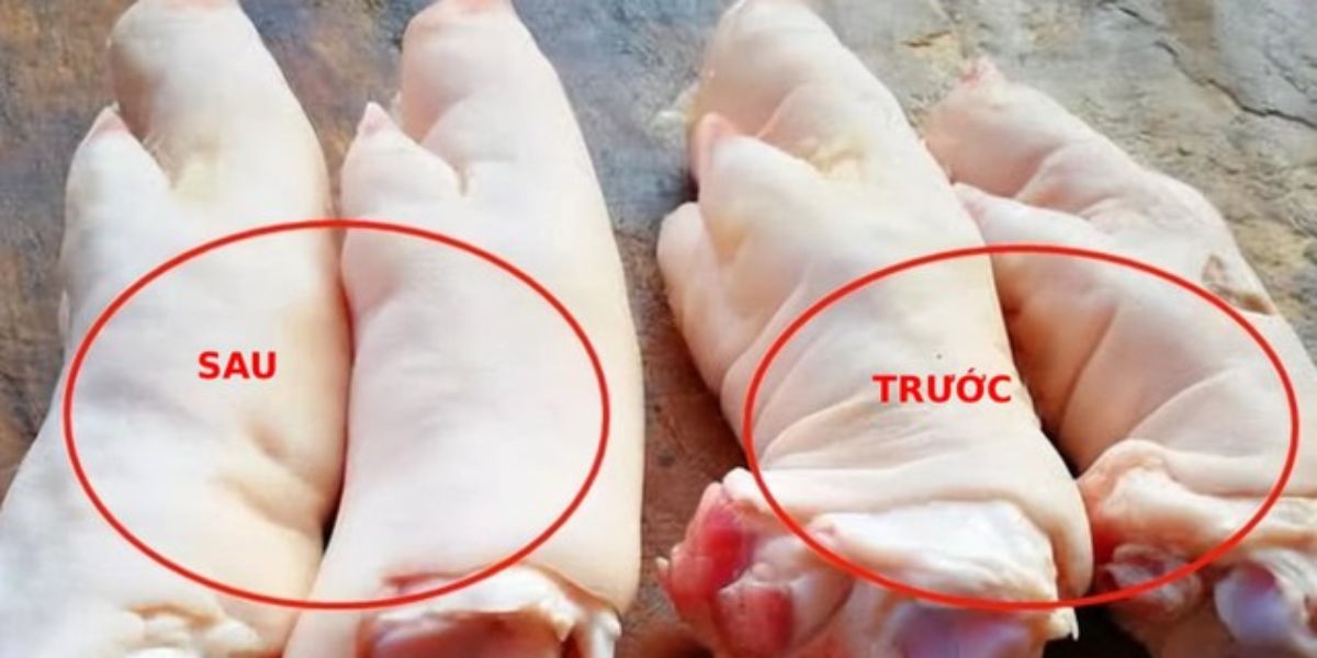Cách lựa chọn chân giò heo tươi ngon