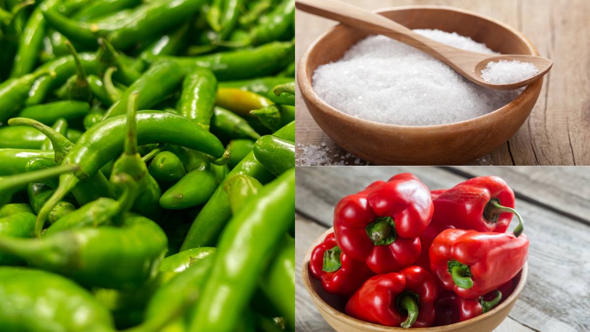 nguyên liệu làm muối ớt xanh chấm hải sản với ớt đỏ