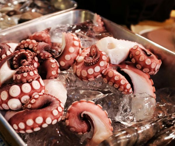 Bạch tuộc nướng sa tế