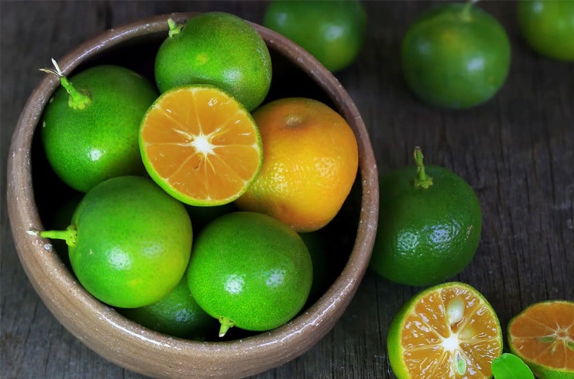 sốt tắc chấm bánh tráng